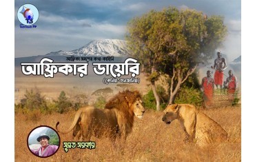 ধারাবাহিক || ভ্রমণ সিরিজ আফ্রিকার ডায়েরি - ৭ || সুব্রত সরকার